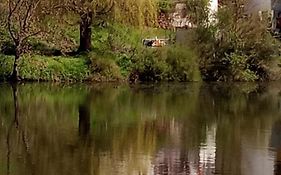 Direkt Am See Ferienwohnungen
